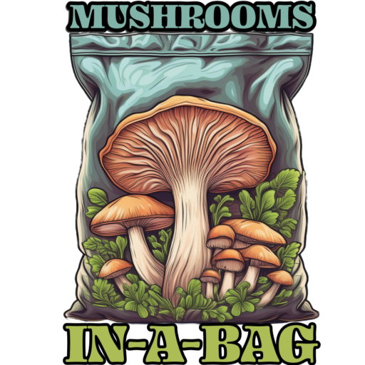 Big News: Live Liquid Cultures Coming Soon to Mushrooms in a Bag!